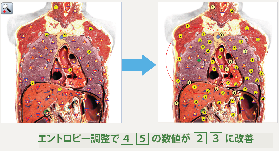 気付きこそ、最大の健康への近道